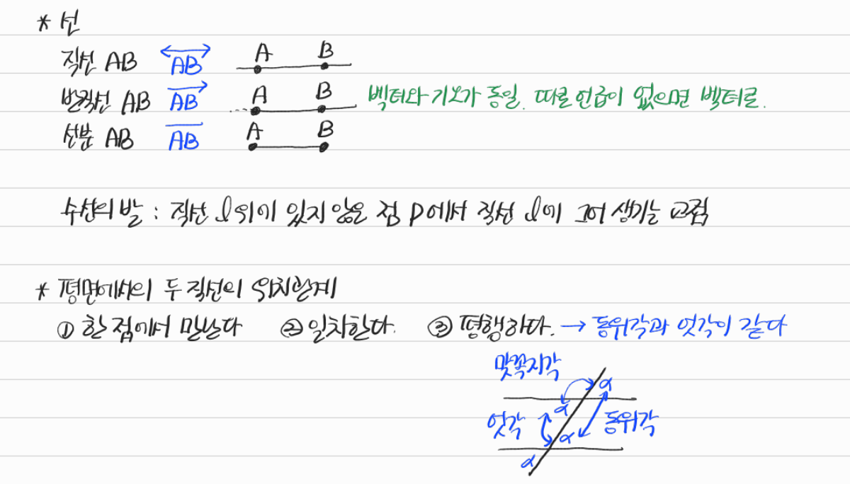 직선·반직선·선분과 두 직선의 위치 관계 — 수업 필기