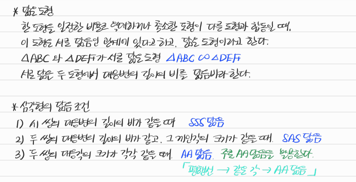 닮은 도형과 삼각형의 닮음 조건 — 수업 필기