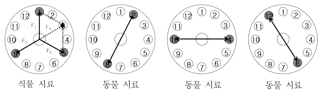 세 식물 시료와 두 동물 시료가 균형을 이루는 벡터와 배치 예