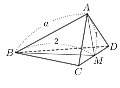 CD의 중점 M과 AM, BM을 표시한 사면체 ABCD